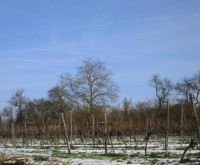 /album/fotogalerie/bildstoff-456-jpg2/